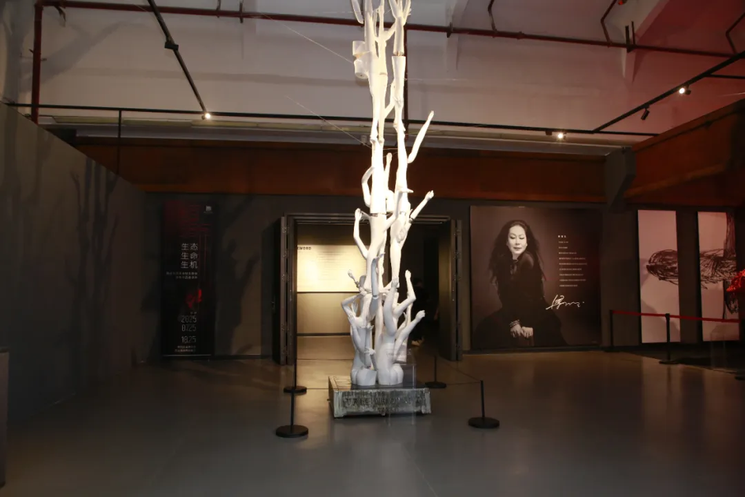 "生态·生命·生机"——梁明玉环保装置艺术展柳州开幕 | 废弃再造艺术对话工业文明 2 liang mingyu eco art liuzhou 2025 1