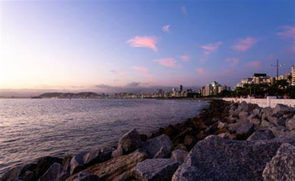 santos brazil city of film 10